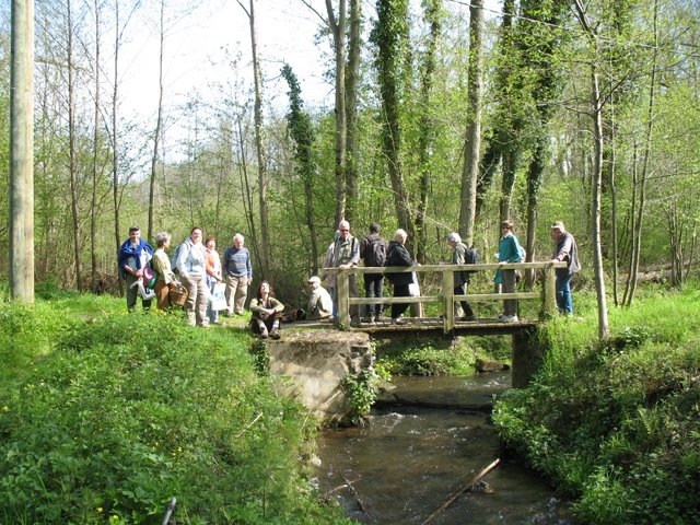 2008 04  Bota et Myco 15